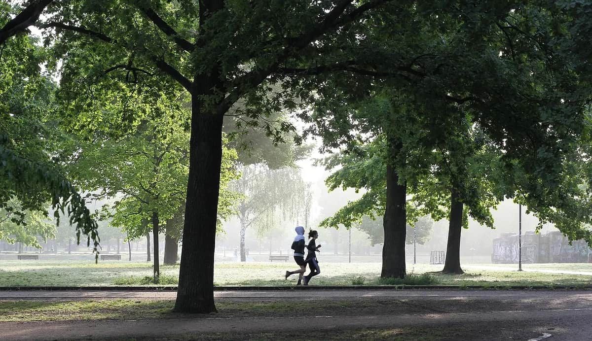 Sport und Gesundheit: Ein Leben in Balance